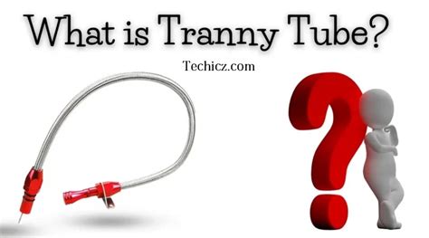 POV at Tranny Tube TV.